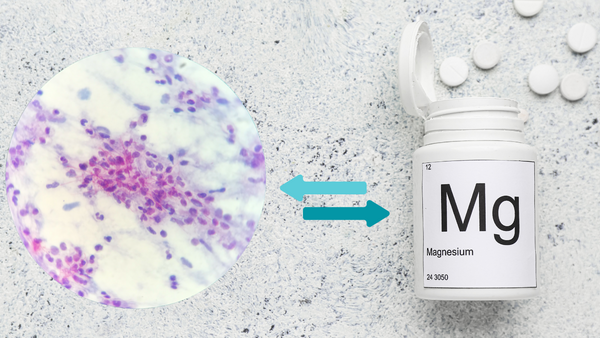 Understanding the Connection Between Magnesium and Candida Overgrowth