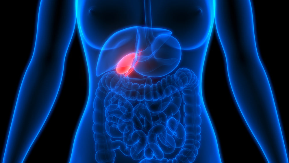 Gallbladder Health 101 