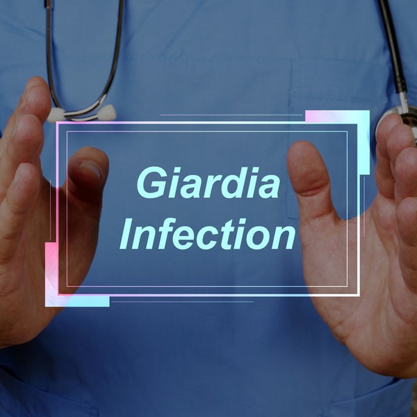 Giardia Infections: Everything You Need to Know